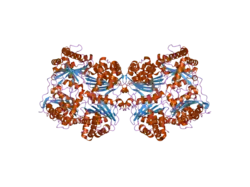 2g48: crystal structure of human insulin-degrading enzyme in complex with amylin