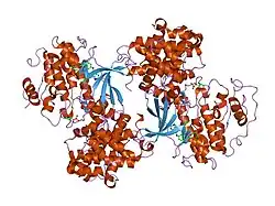 2g9x: Structure of Thr 160 phosphorylated CDK2/cyclin A in complex with the inhibitor NU6271