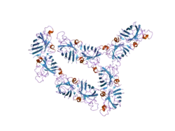 2gbv: C6A/C111A/C57A/C146A holo CuZn Superoxide dismutase