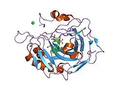 2gd8: Crystal structure analysis of the human carbonic anhydrase II in complex with a 2-substituted estradiol bis-sulfamate