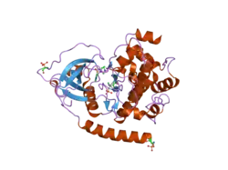 2gni: PKA fivefold mutant model of Rho-kinase with inhibitor Fasudil (HA1077)