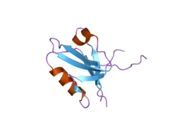 2gzv: The cystal structure of the PDZ domain of human PICK1 (CASP TARGET)