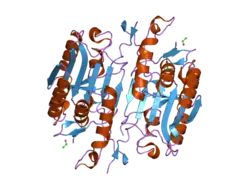 2h5j: Crystal structure of caspase-3 with inhibitor Ac-DMQD-Cho