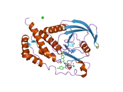 2i4h: Structural studies of protein tyrosine phosphatase beta catalytic domain co-crystallized with a sulfamic acid inhibitor