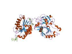 2i6s: Complement component C2a