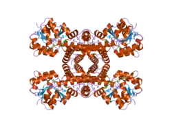 2i9p: Crystal structure of human hydroxyisobutyrate dehydrogenase complexed with NAD+