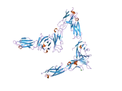 2if7: Crystal Structure of NTB-A