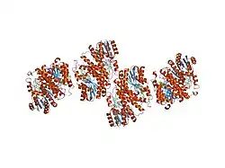 2irw: Human 11-beta-Hydroxysteroid Dehydrogenase (HSD1) with NADP and Adamantane Ether Inhibitor