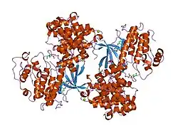 2iw9: STRUCTURE OF HUMAN THR160-PHOSPHO CDK2-CYCLIN A COMPLEXED WITH A BISANILINOPYRIMIDINE INHIBITOR