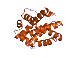 2jcn: THE CRYSTAL STRUCTURE OF BAK1 - A MITOCHONDRIAL APOPTOSIS REGULATOR