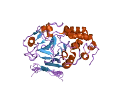 2jog: Structure of the calcineurin-NFAT complex