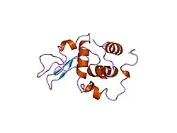 2meg: CHANGES IN CONFORMATIONAL STABILITY OF A SERIES OF MUTANT HUMAN LYSOZYMES AT CONSTANT POSITIONS.