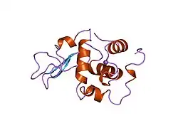2meh: CONTRIBUTION OF HYDROPHOBIC EFFECT TO THE CONFORMATIONAL STABILITY OF HUMAN LYSOZYME