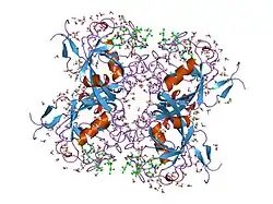 2rmc: Crystal structure of murine cyclophilin C complexed with immunosuppressive drug cyclosporin A