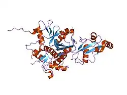 2z0d: The crystal structure of human Atg4B- LC3(1-120) complex
