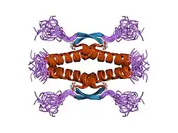 3sak: HIGH RESOLUTION SOLUTION NMR STRUCTURE OF THE OLIGOMERIZATION DOMAIN OF P53 BY MULTI-DIMENSIONAL NMR (SAC STRUCTURES)