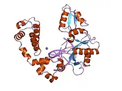 9icp: DNA POLYMERASE BETA (POL B) (E.C.2.7.7.7) COMPLEXED WITH SIX BASE PAIRS OF DNA; SOAKED IN THE PRESENCE OF PYROPHOSPHATE (1 MILLIMOLAR) AND MGCL2 (5 MILLIMOLAR)