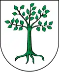 Coat of arms of Kruszwica