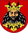 Coat of arms of Dobrzyń Land