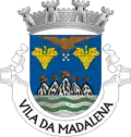 Coat of arms of Madalena