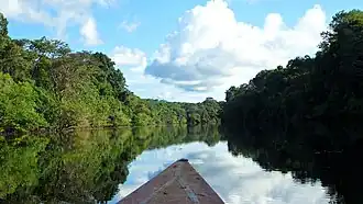 Wide river reflecting surrounding tropical rainforest under a blue sky