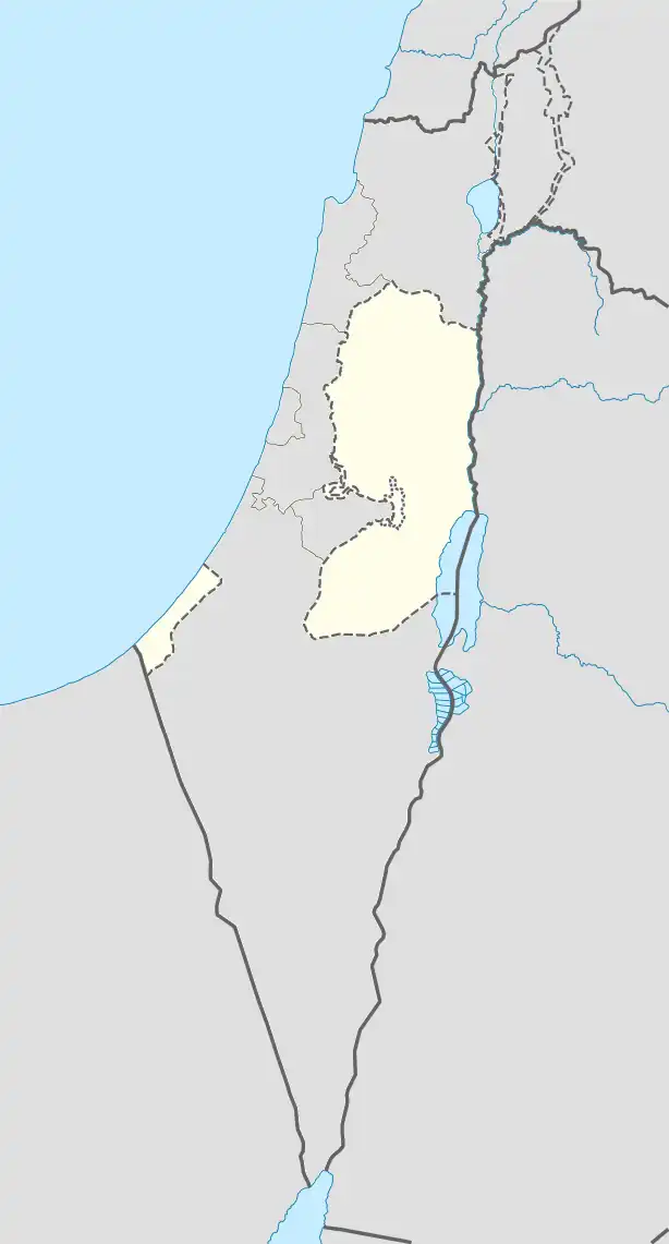 Al-Qaraya al-Badawiya is located in Palestine