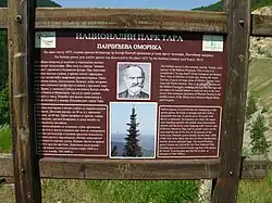 Information board about Pančić and his Serbian spruce at the site where it was discovered on the Tara mountain