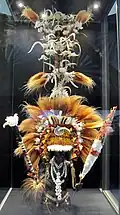 Ceremonial accoutrements of Papua New Guinea