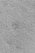 Patterned ground was once called fingerprint terrain because it looked like giant fingerprints. The dark dots are actually chains of low mounds. The center circular feature is a ring of dark boulders on the rim of a buried crater. Picture from Mars Global Surveyor.