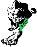 Black panther walking toward the viewer with green eyes and the word "PRIDE" also in green on the proper front left leg