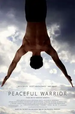 A gymnast silhouetted against a cloudy sky