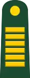 Colonel