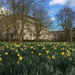 Peterhouse Deer Park in Spring