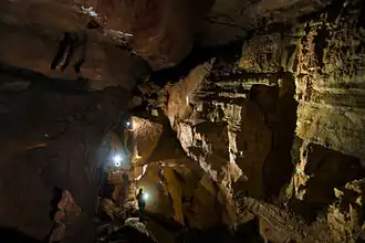 A view of the first room of Pettyjohn Cave, showing spelunkers with flashlights.