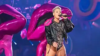 Pink on the Summer Carnival tour