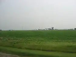 Broad fields typical of Clay Township