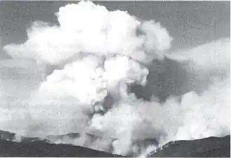 Typical appearance of a plume-dominated fire. This picture was taken at the Silver Fire in Oregon in 1987.