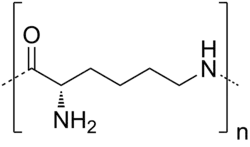 Skeletal formula of ε-polylysine
