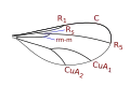 Porricondylinae (most) wing veins