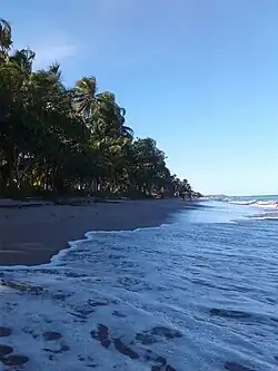 Beach in São Miguel dos Milagres