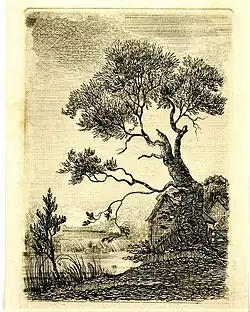 etching of trees