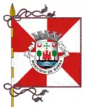Flag of Municipality of Borba