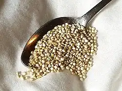 Raw, organic quinoa.