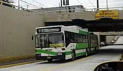 Green-and-white articulated bus leaving an underpass
