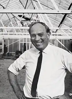 Black and white photograph of Roy Markham in a greenhouse at the John Innes Institute in 1967.