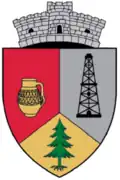 Coat of arms of Săcel