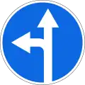 Straight ahead or left turn permitted