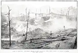 photo of dead trees after forest fire