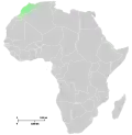 Africa
