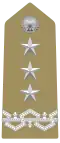 Tenente Generale[26] (Italian Army)